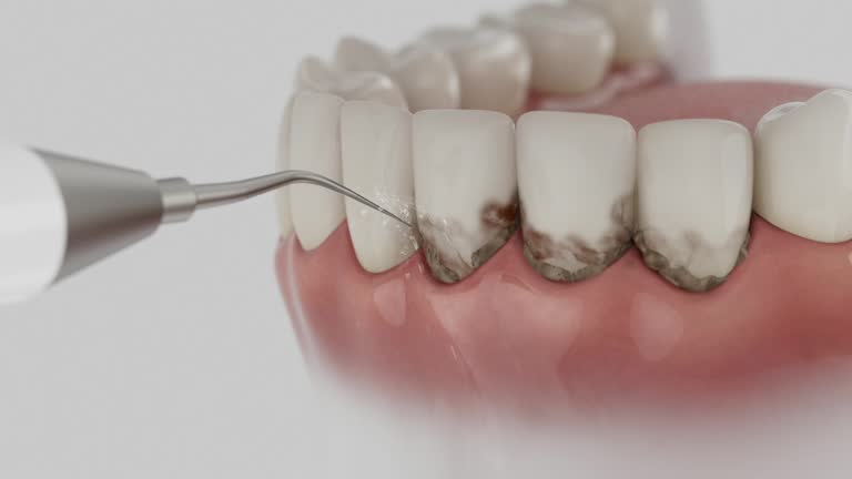 Reliable Dental contractor in Paris, IL by Dentist Open Now